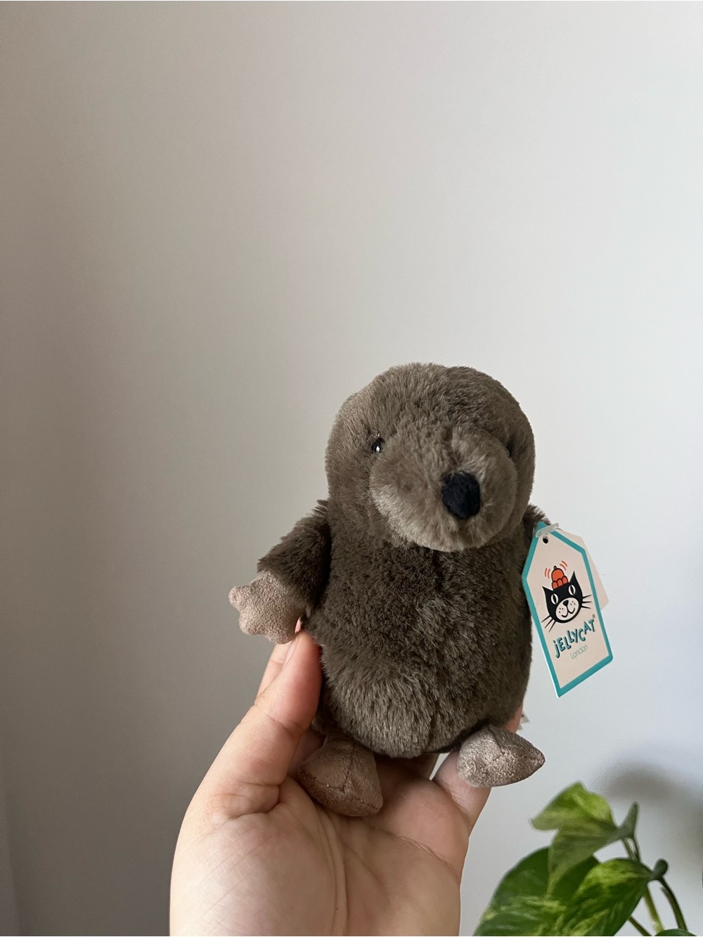 Jellycat Nippit Mole